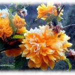 Silenzio……