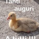 25 Aprile.. dove? A Sassello !