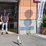 La Morte ti fa bella