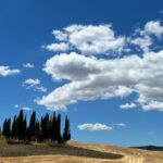 Buona Estate