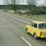 Cassiopea