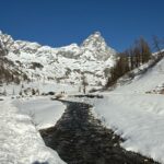 EDGAR BROUGHTON BAND