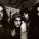 Un topolino sotto l’albero