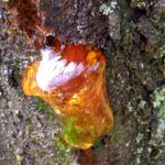 A qualcuno piace caldo